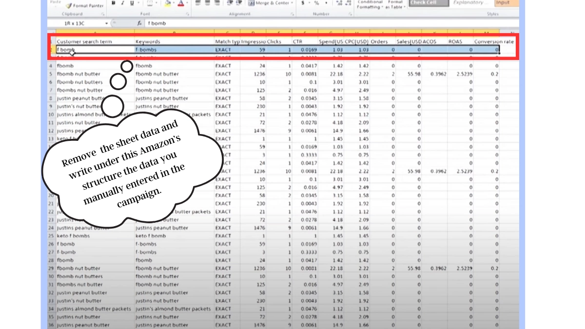 Report sheet of the Amazon PPC Campaign